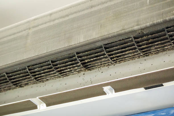 Best HVAC System Cleaning  in Bridge City, TX