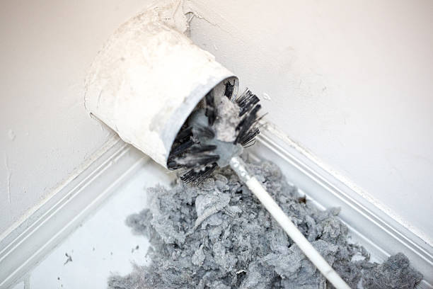 Best Affordable Duct Cleaning Services  in Bridge City, TX